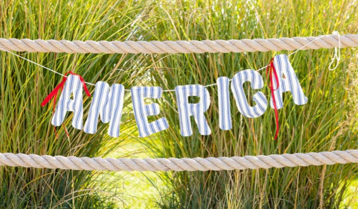 America Ticking Linen Puffy Banner
