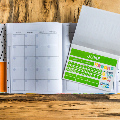 The Go Planner Insert & Sticker Book