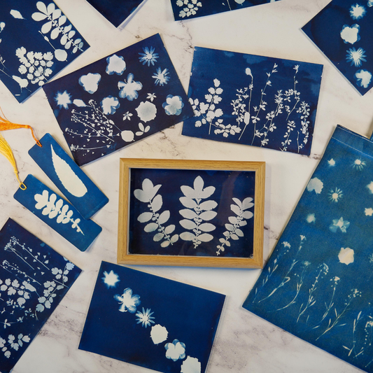 Cyanotype Kit