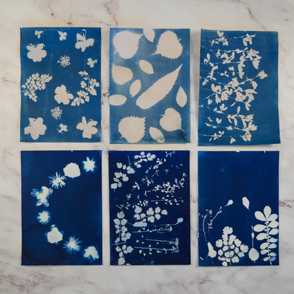 Cyanotype Kit
