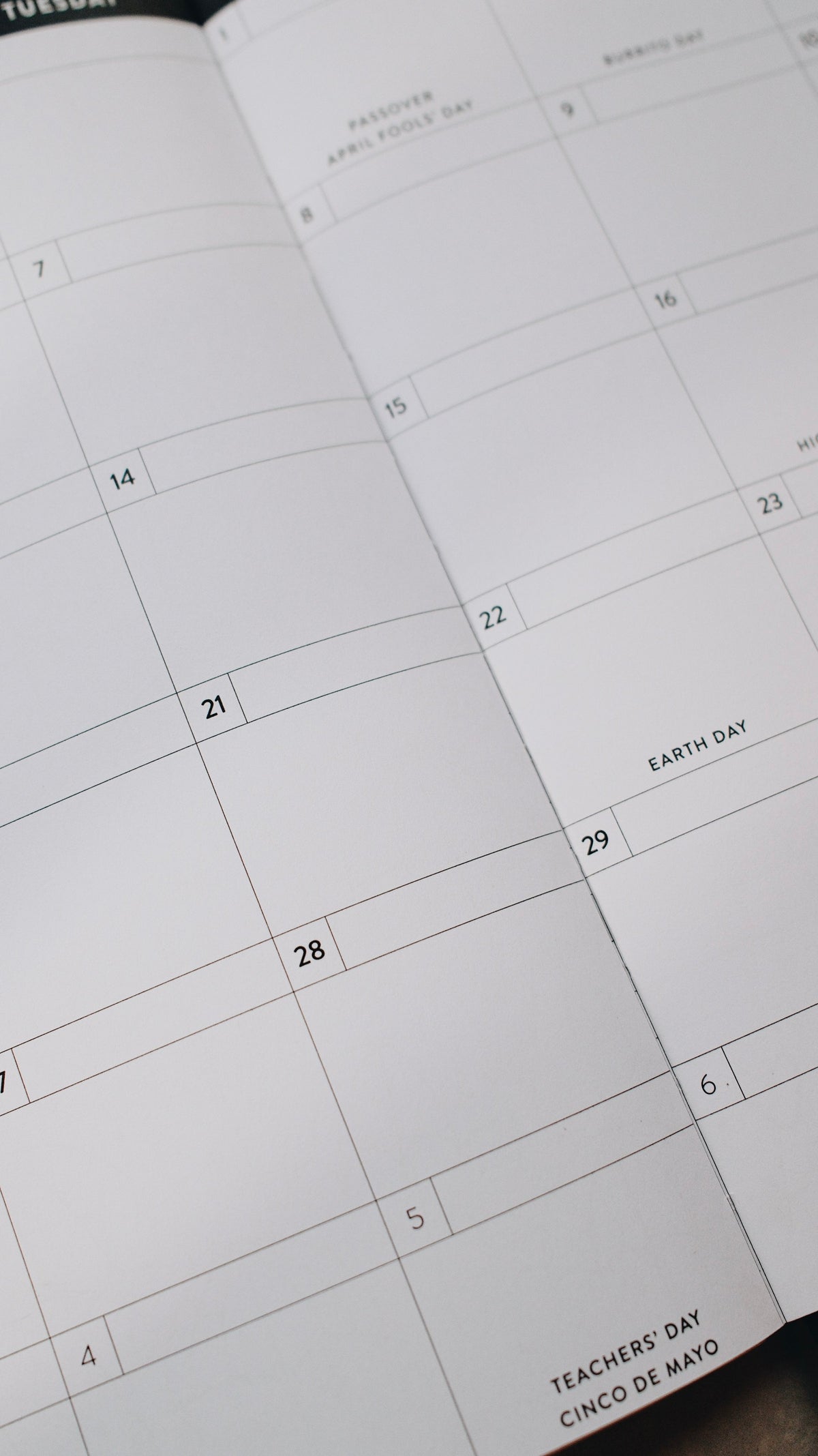 2026 Dated 8x10 Planner - Doodle Edition