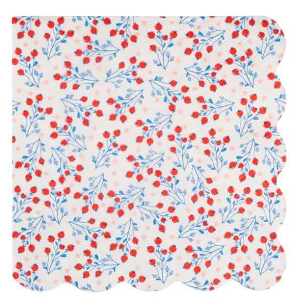Floral Cocktail Paper Napkin Set