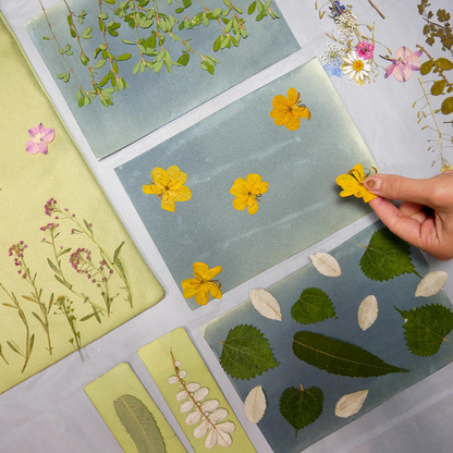 Cyanotype Kit