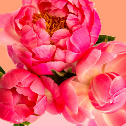 Petal Power