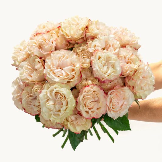 Vanilla Kiss Roses