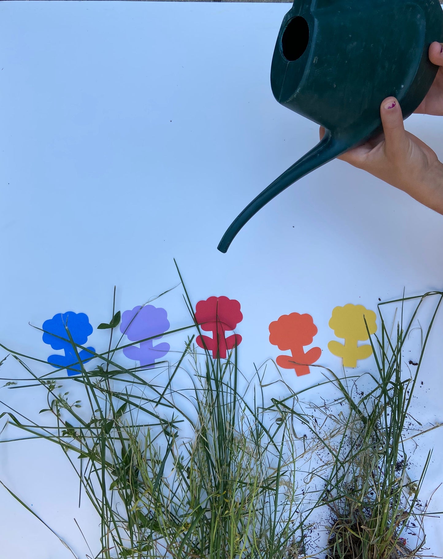 SHAPES ETC. Small Assorted Cut-Out - Flower