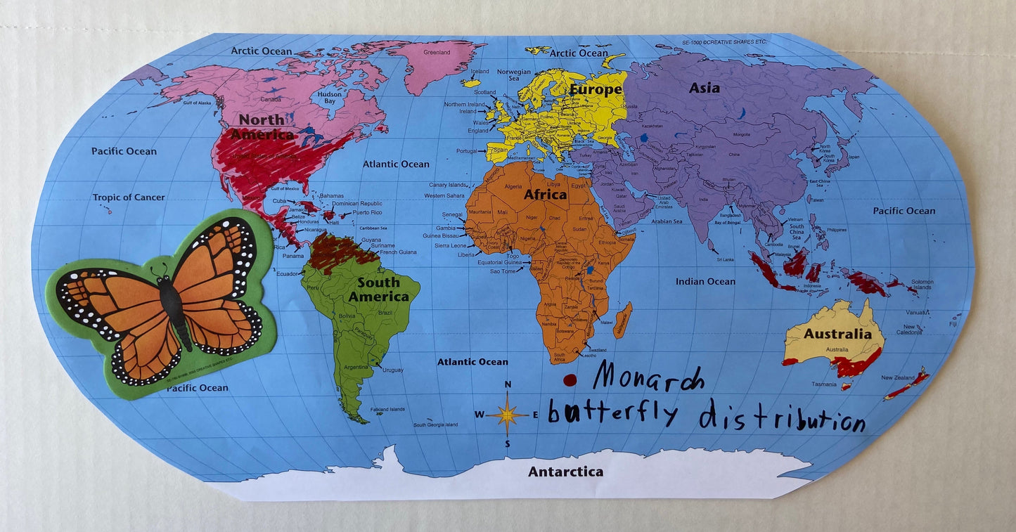 SHAPES ETC. Labeled World- Practice Maps