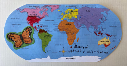 SHAPES ETC. Labeled World- Practice Maps