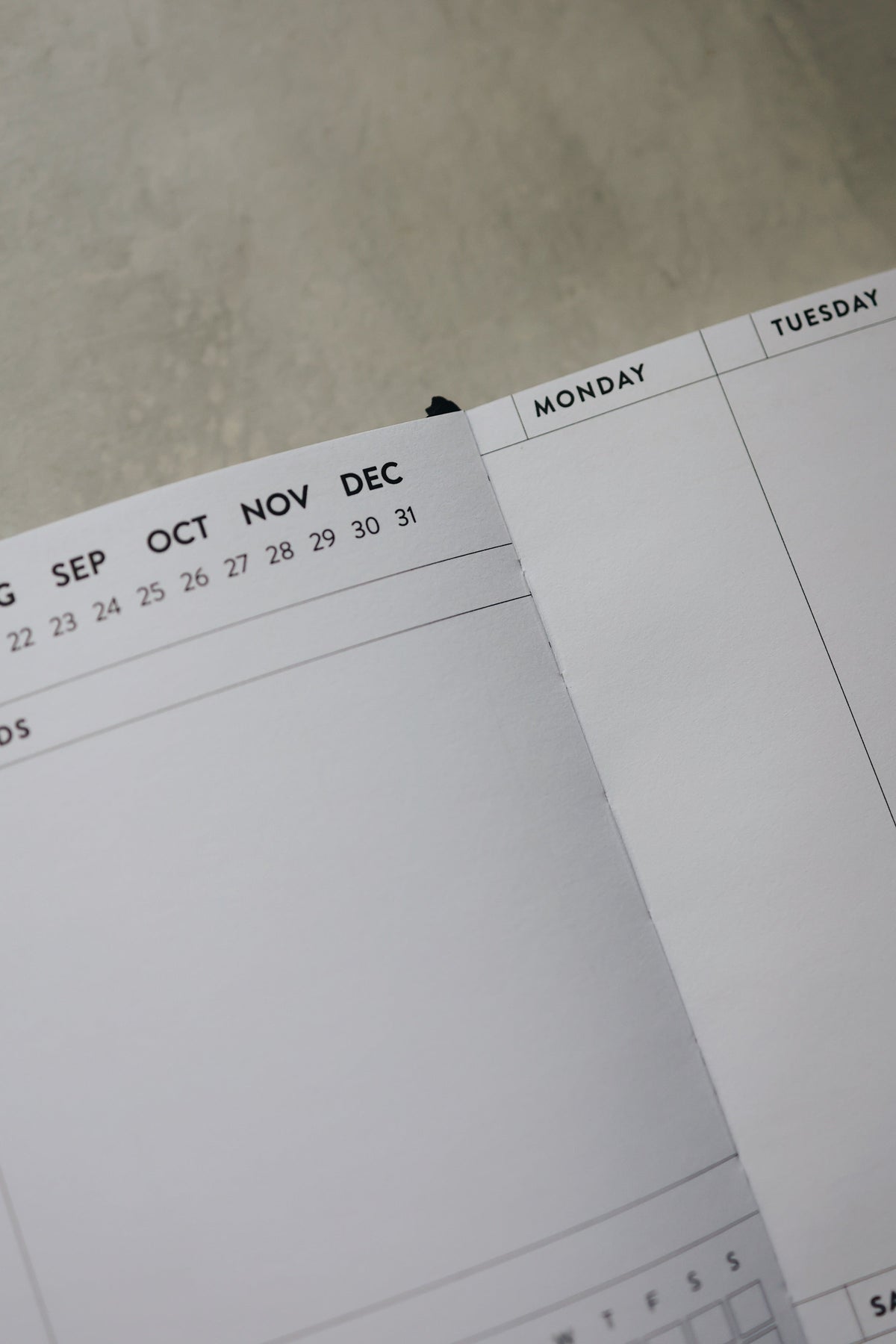 8x10 Undated Planner - Stars Edition