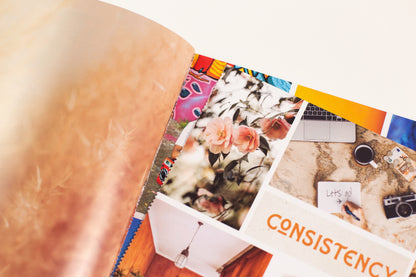 The Vision Board Book: 700+ words and images to visualize your goals and dream life