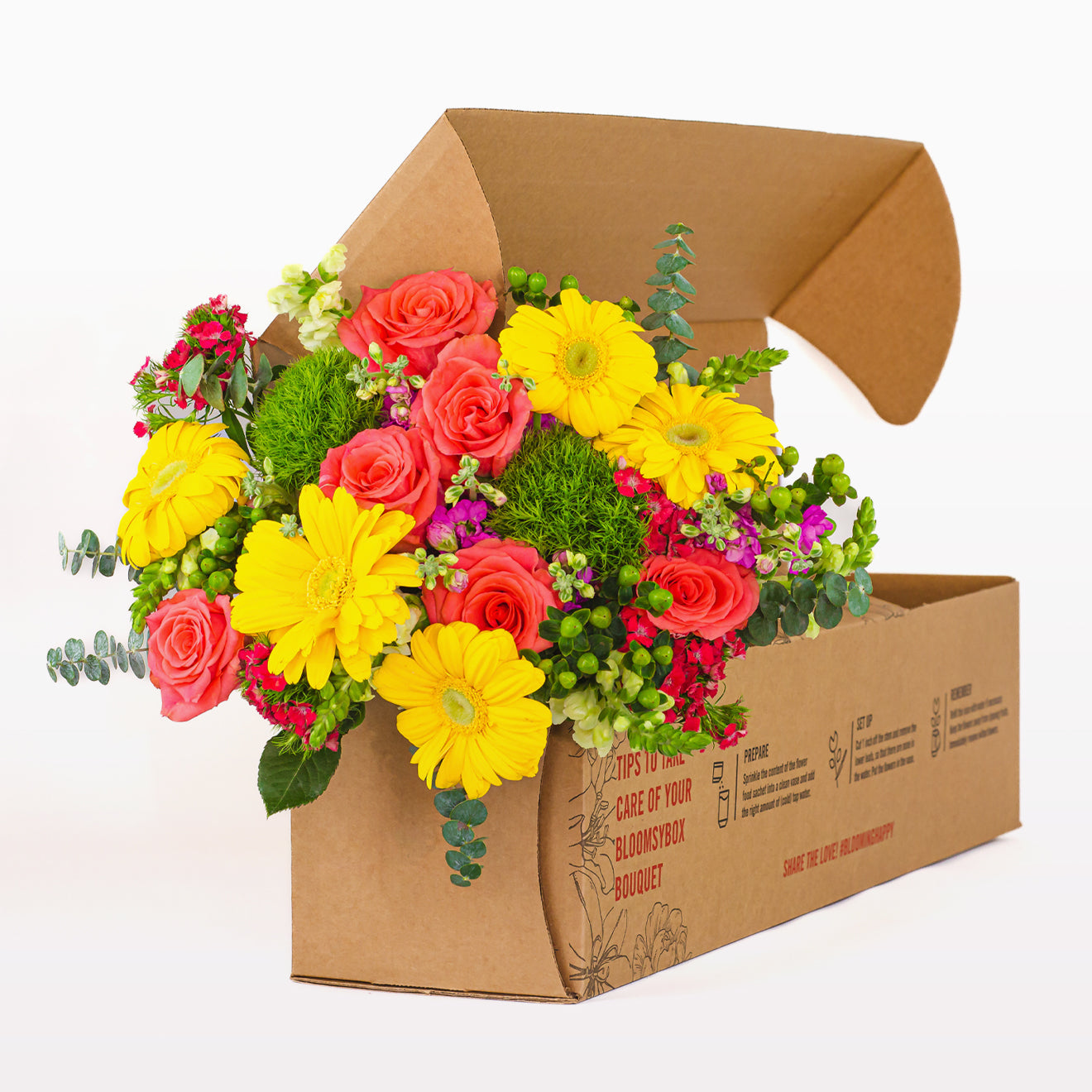 Bloomsy Premium Subscription