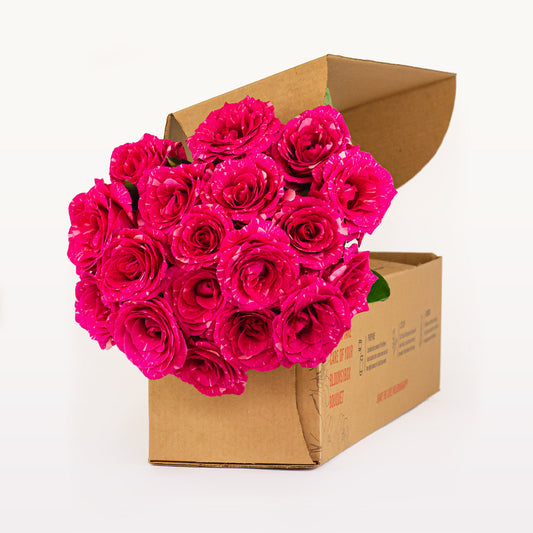 Bloomsy Roses