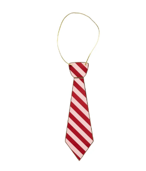 Harry Potter X Bonjour Fete House Pride Multicolor Hogwarts Ties