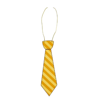 Harry Potter X Bonjour Fete House Pride Multicolor Hogwarts Ties