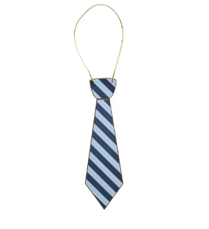 Harry Potter X Bonjour Fete House Pride Multicolor Hogwarts Ties