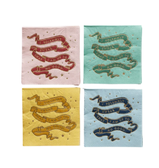 Harry Potter X Bonjour Fete House Pride Small Party Napkins