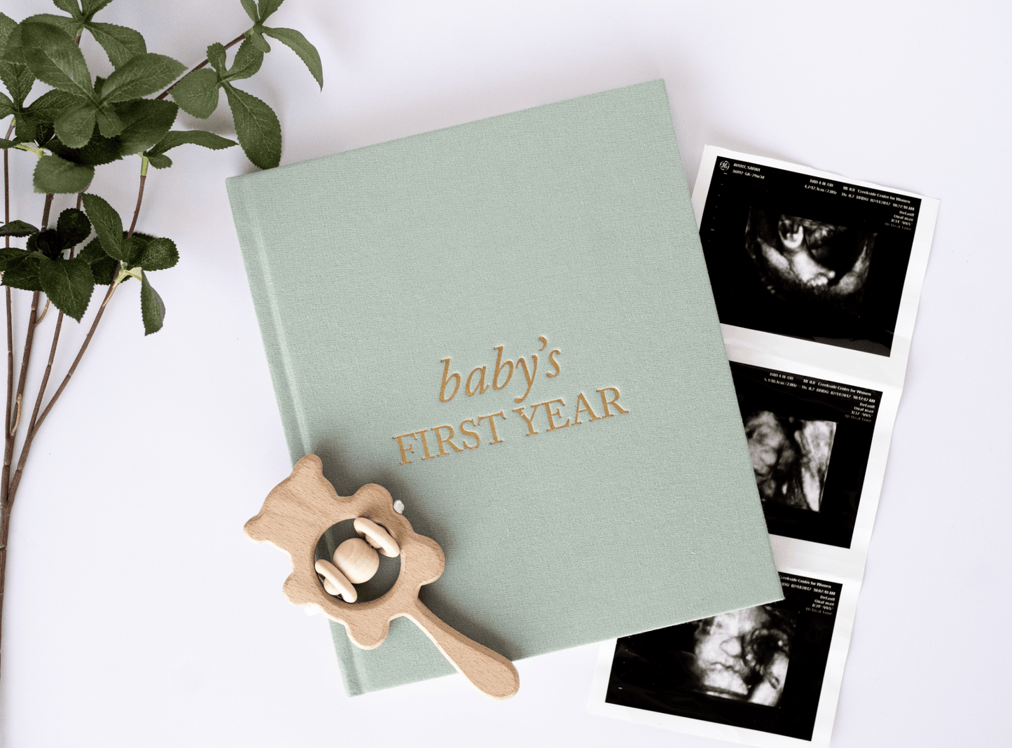 Baby's First Year
