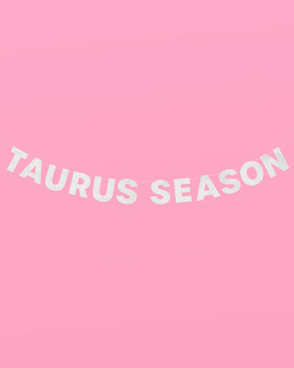 Taurus Season Banner - silver glitter banner