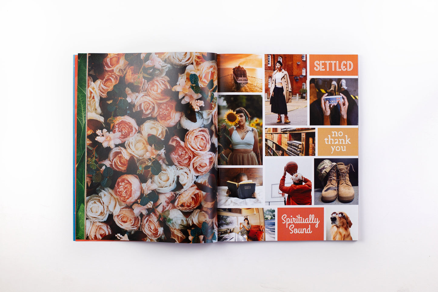The Vision Board Book: 700+ words and images to visualize your goals and dream life
