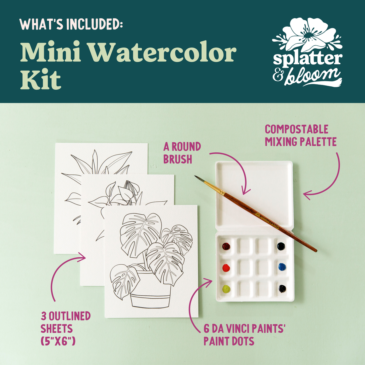 Bug Hikes Watercolor Painting Kit - (Mini)