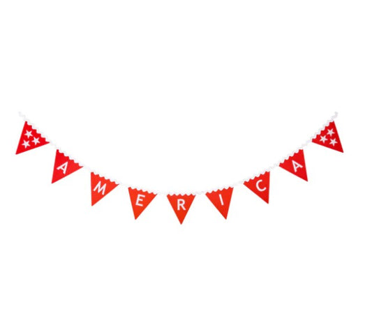 America Felt Pennant Banner