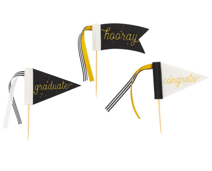 Graduation Mini Felt Pennants
