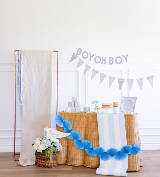 Baby Blue Banner