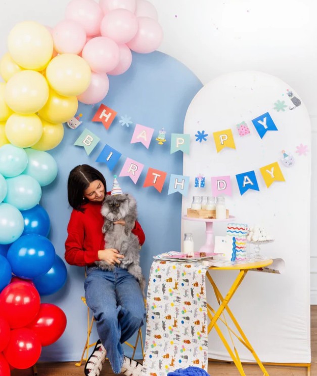Happy Birthday Banner - Cat