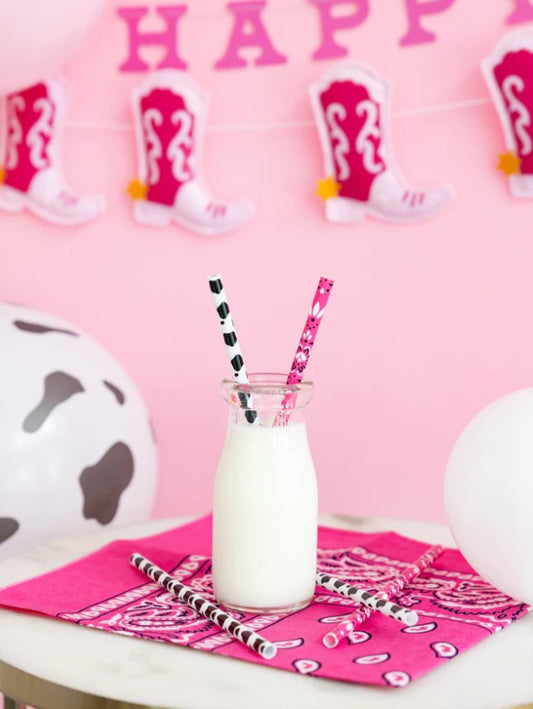 Cowgirl Reusable Straws