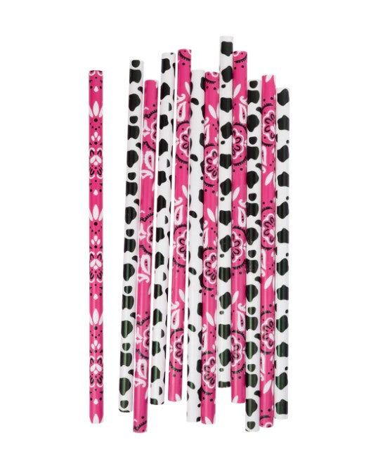 Cowgirl Reusable Straws