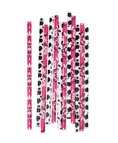 Cowgirl Reusable Straws