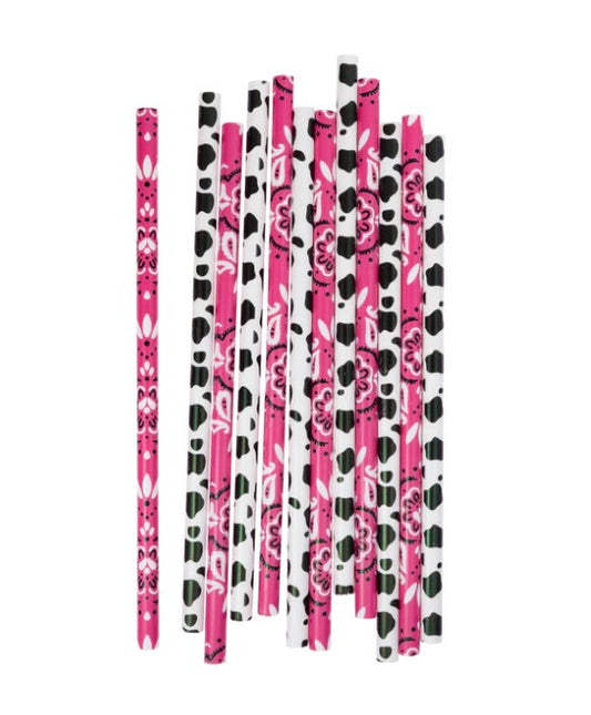 Cowgirl Reusable Straws