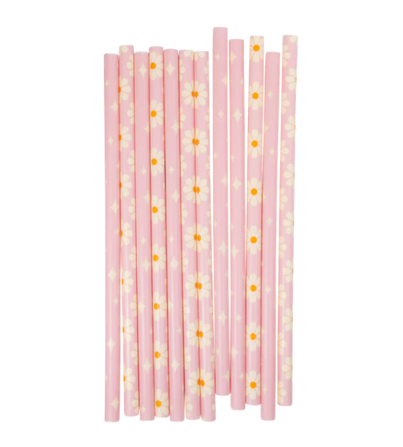 Disco Daisy Reusable Straws