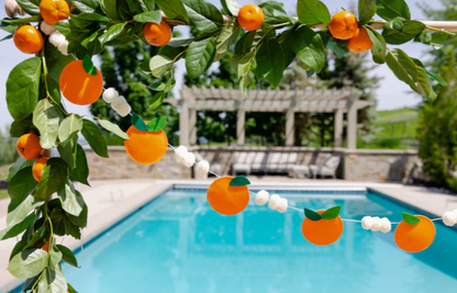 Felt Orange Banner