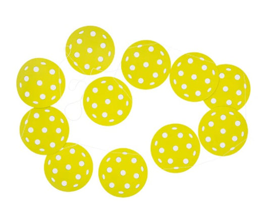 Pickleball Banner Set