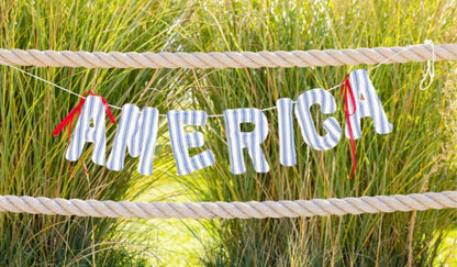 America Ticking Linen Puffy Banner