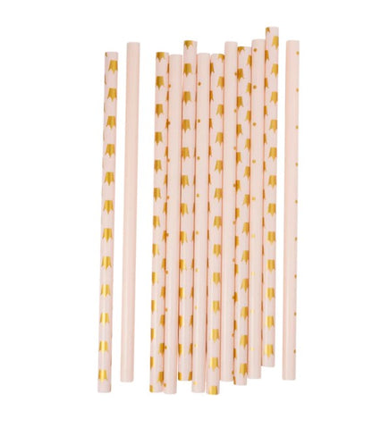 Princess Reusable Straws