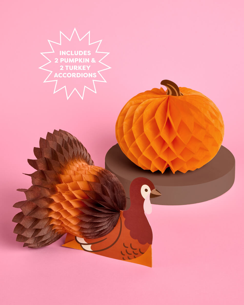 Turkey + Pumpkin Accordions - fall decor set