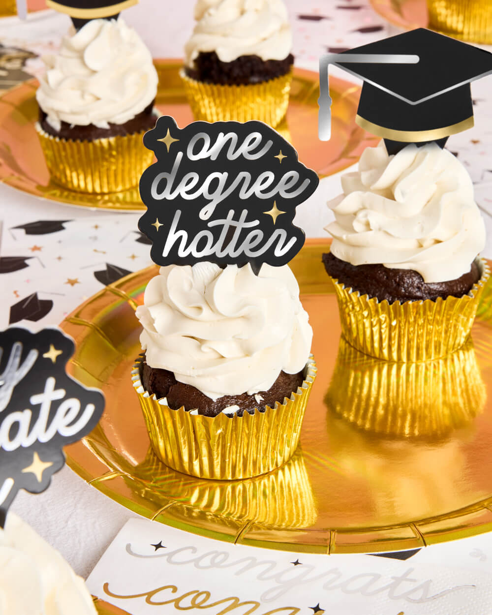 Graduation Toppers - 24 cupcake toppers